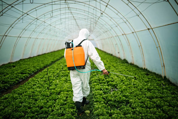 Best Affordable Pest Control Services  in White Oak, OH