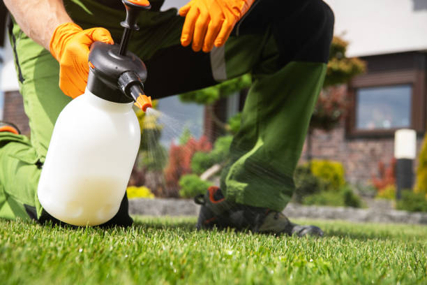 Best Pest Control for Homes  in White Oak, OH