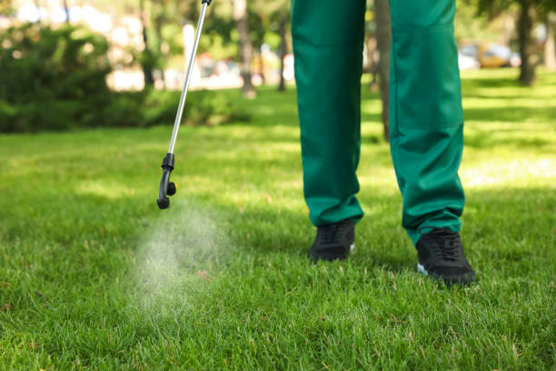Best Residential Pest Control  in White Oak, OH