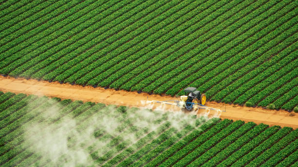Best Pest Removal Services  in White Oak, OH