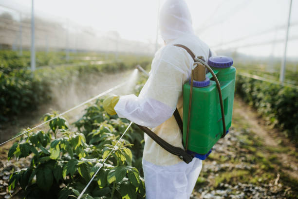 Best Local Pest Control Services  in White Oak, OH